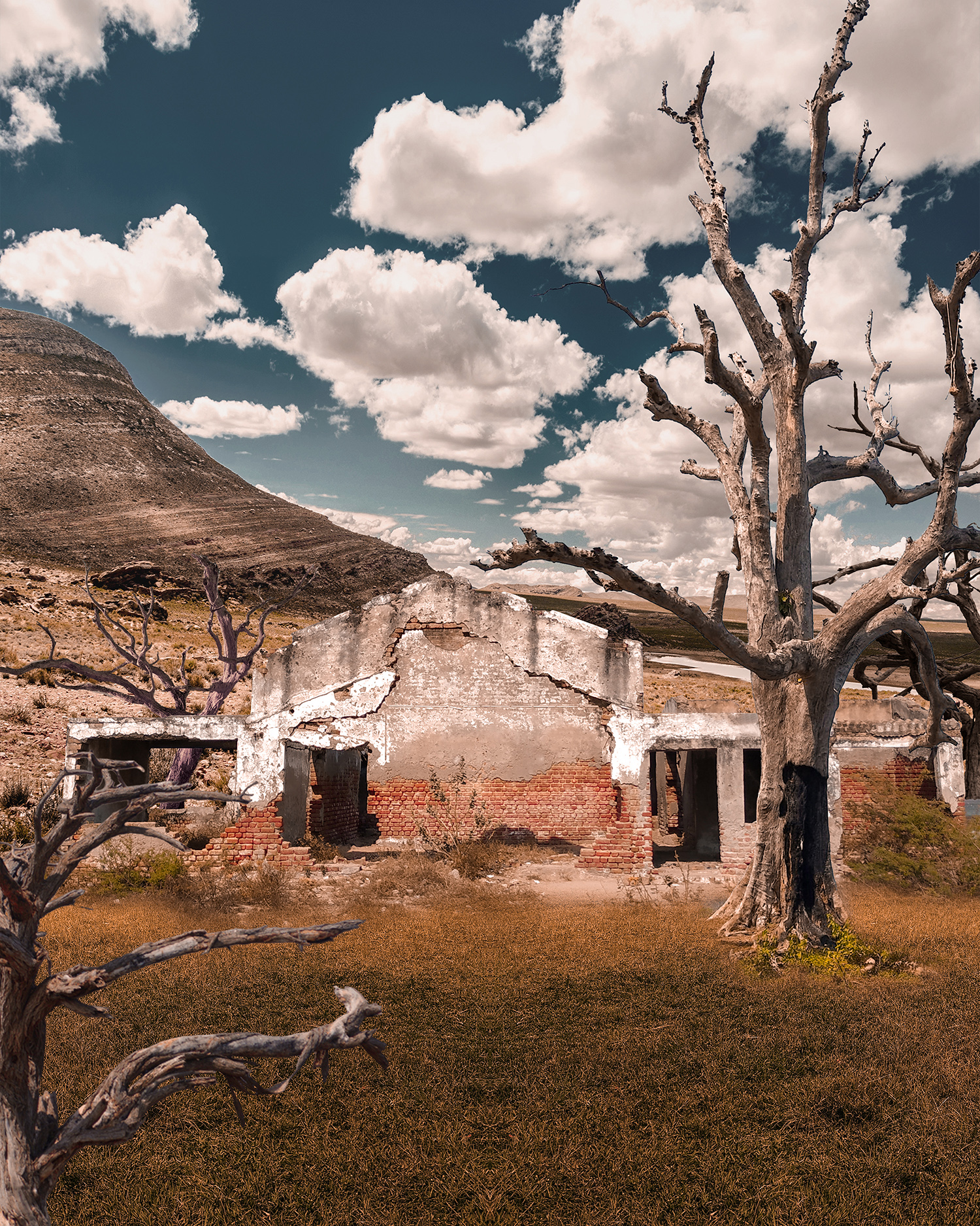 An old, abandoned house in the middle of nowhere, with a dilapidated exterior and overgrown vegetation.